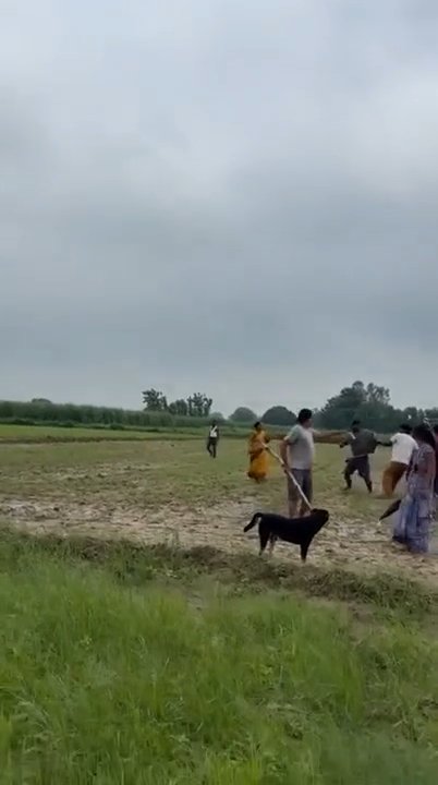 The woman was knocked unconscious with a single blow.